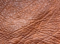 Pattern «‎Mammut»